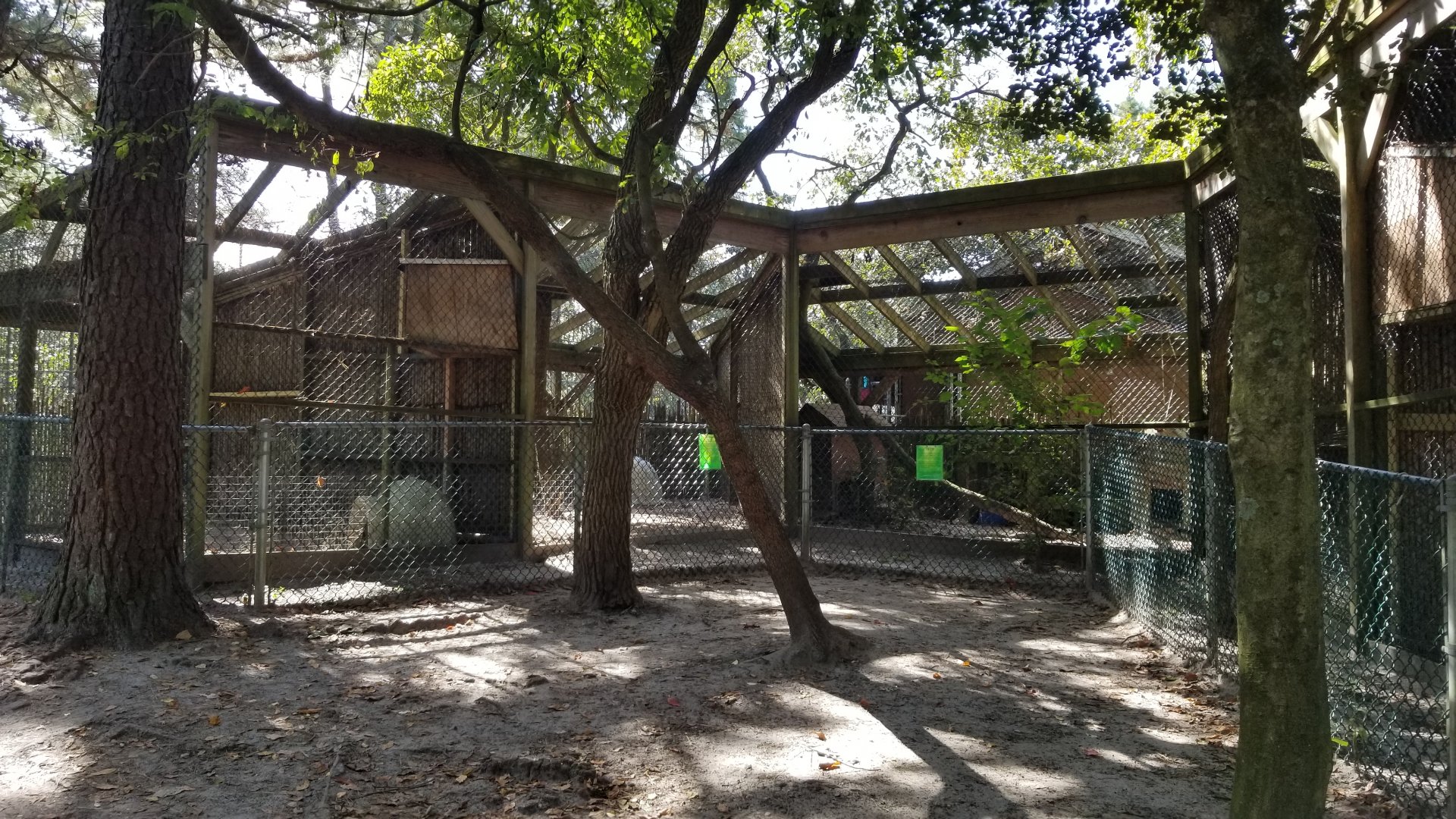 Popcorn Park - Foxes