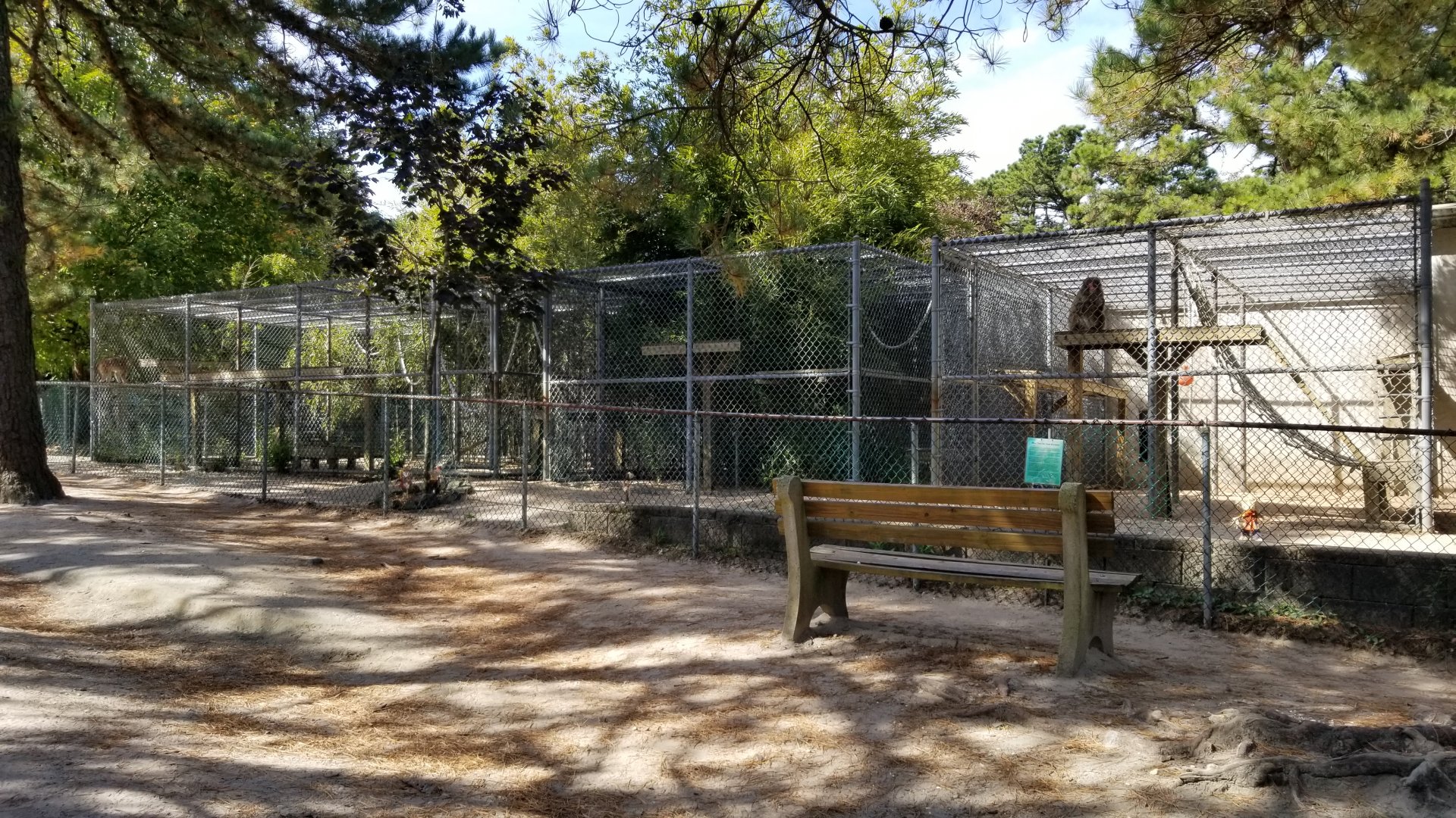 Popcorn Park - Front primate exhibits