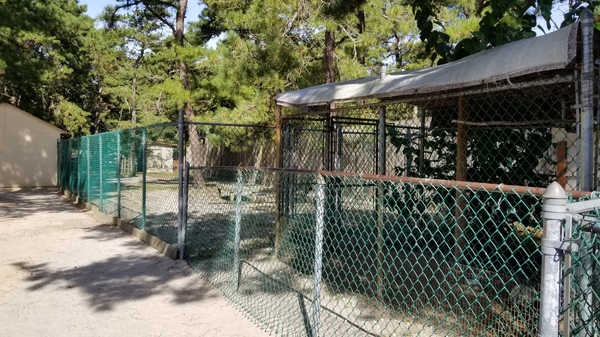 Popcorn Park - Goats, chickens