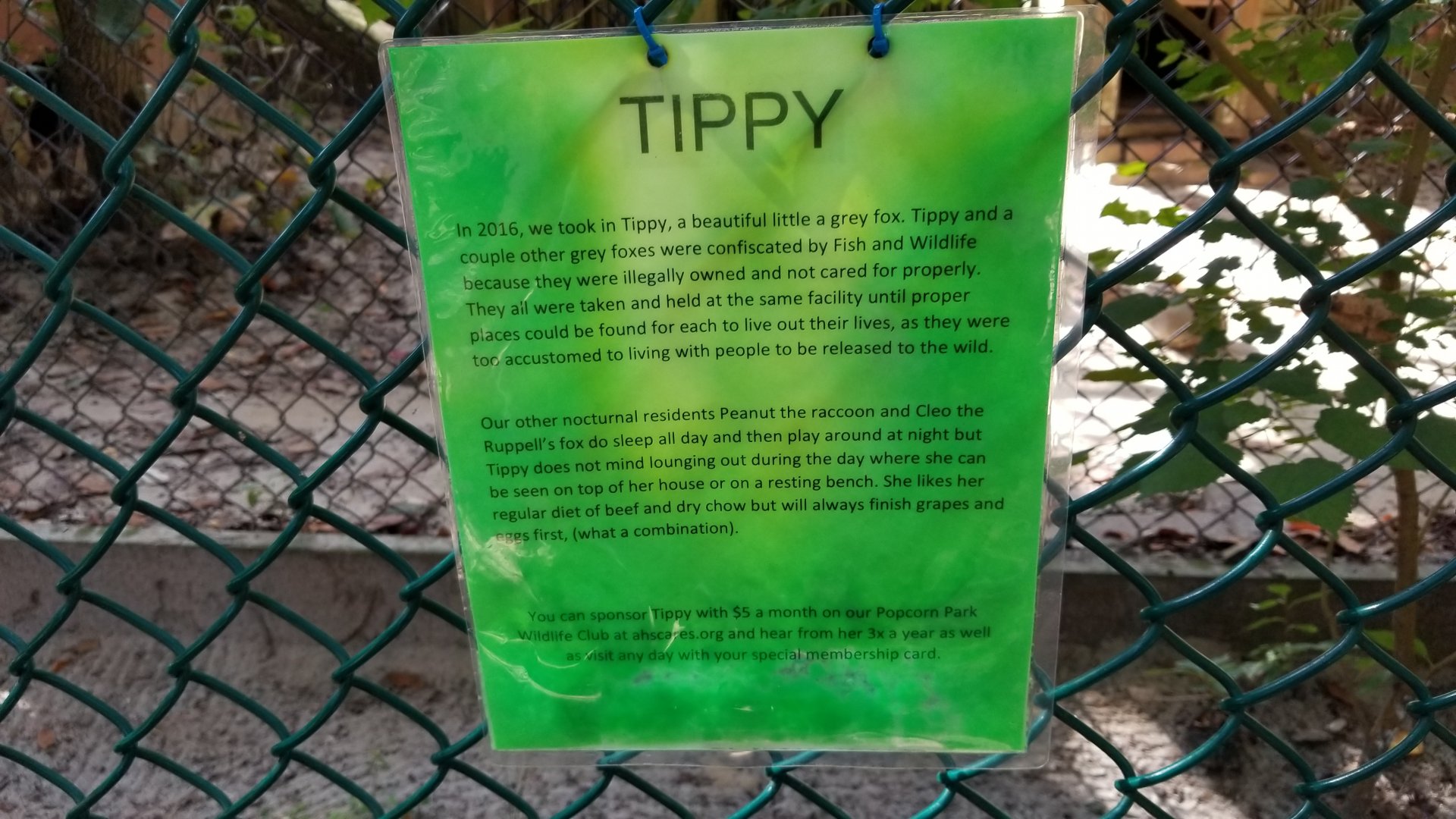 Popcorn Park - Grey fox sign