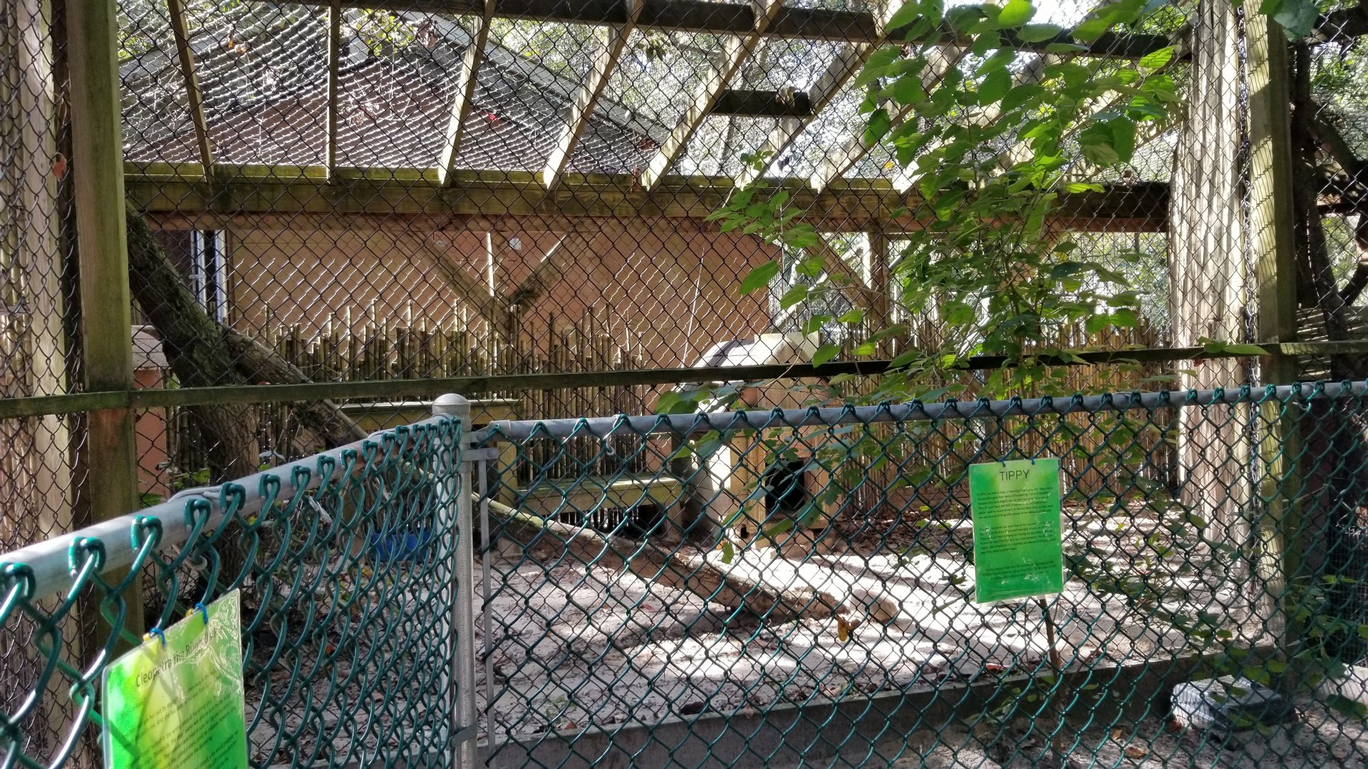 Popcorn Park - Grey fox