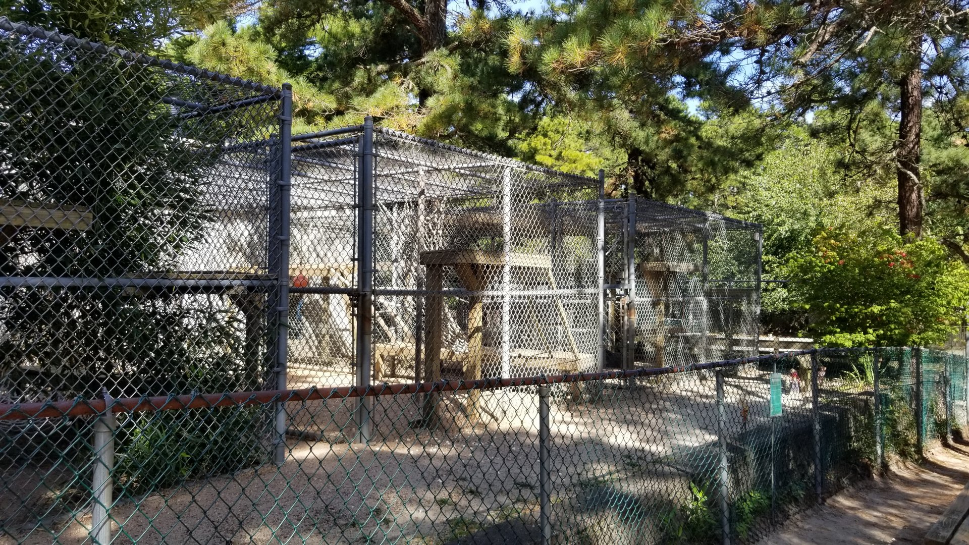 Popcorn Park - Japanese macaque exhibits