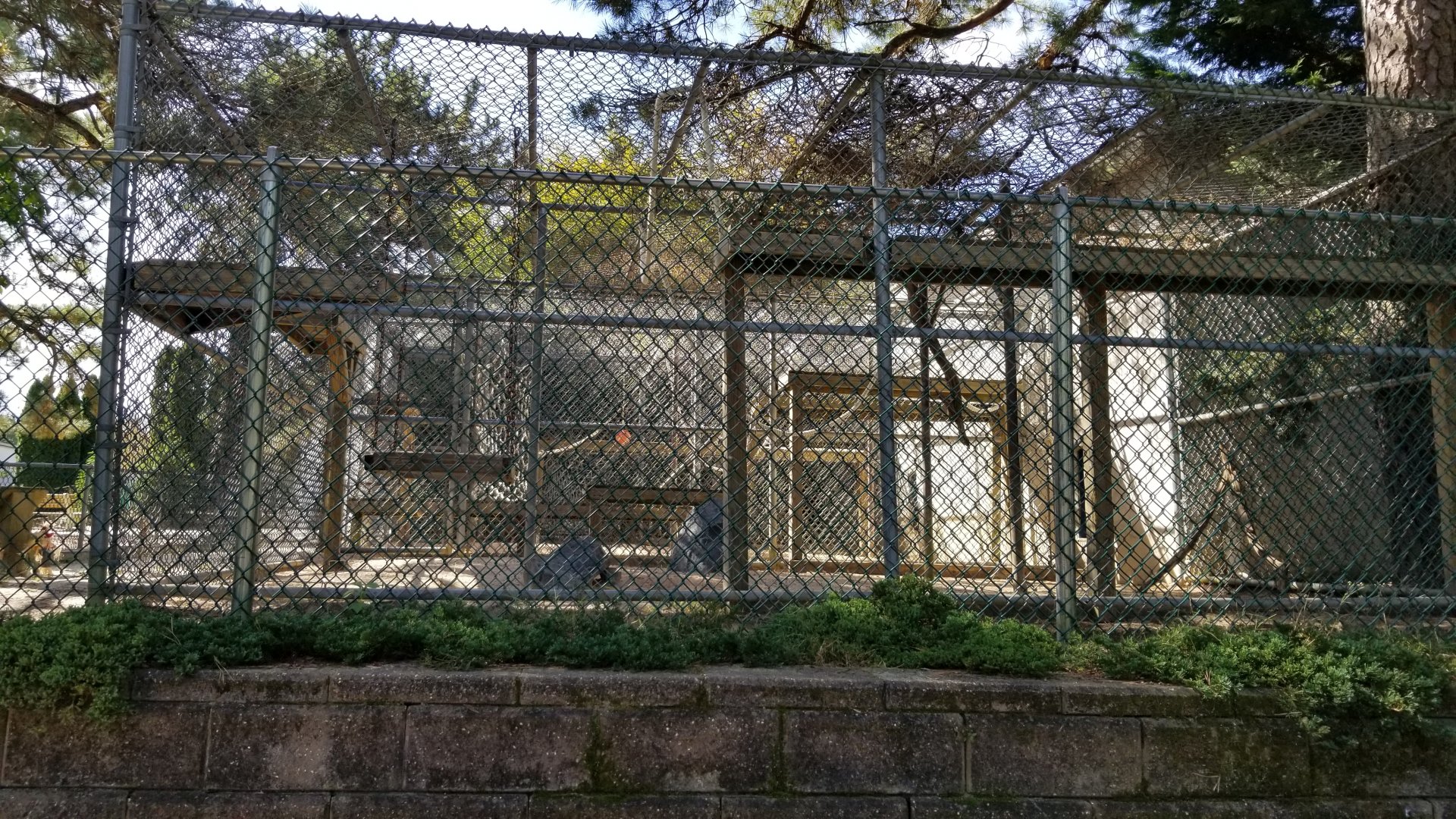 Popcorn Park - Japanese macaques