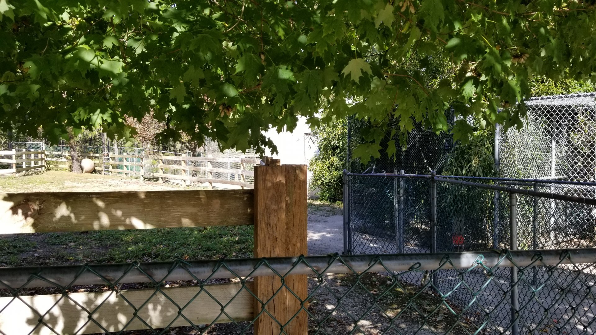 Popcorn Park - Keeper path behind primates