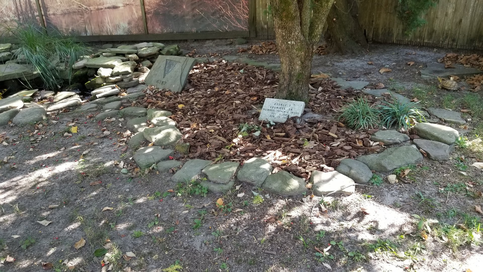 Popcorn Park - Law enforcement tortoise yard, grave?