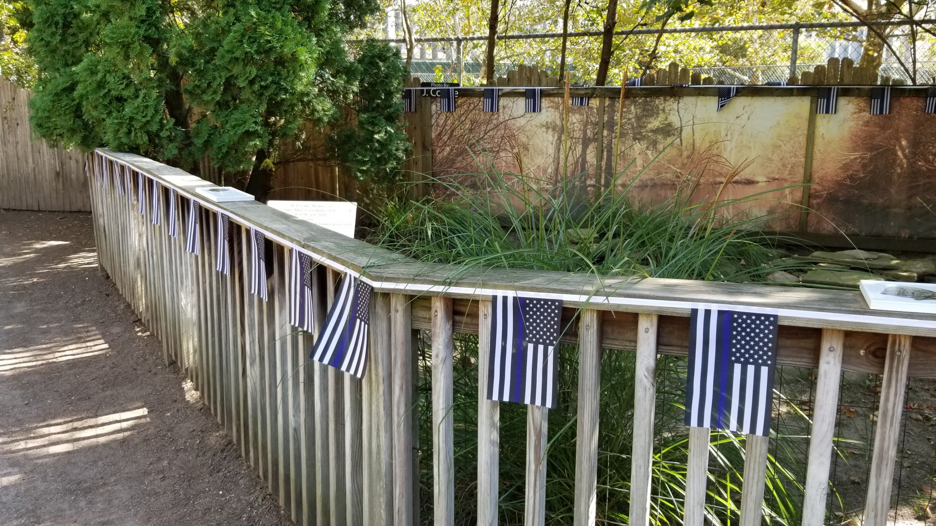 Popcorn Park - Law enforcement tortoise yard