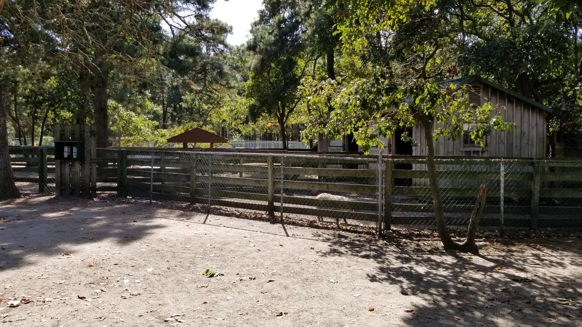 Popcorn Park - Livestock