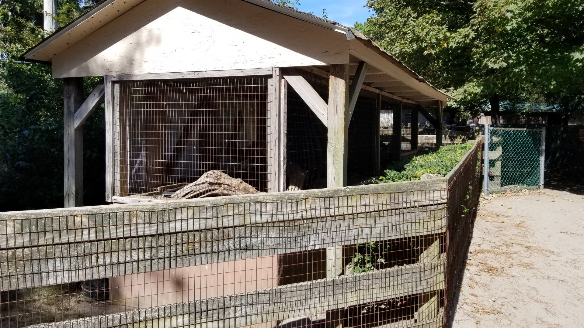 Popcorn Park - Looked empty, holds green iguana?