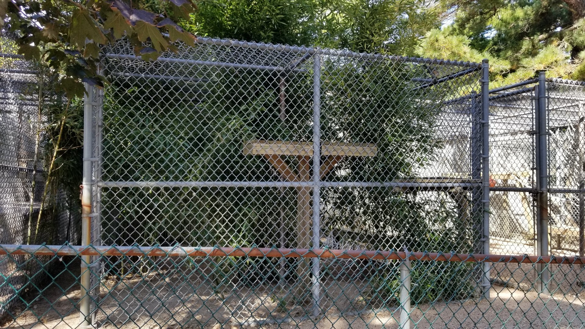 Popcorn Park - Monkey exhibit, not sure of species