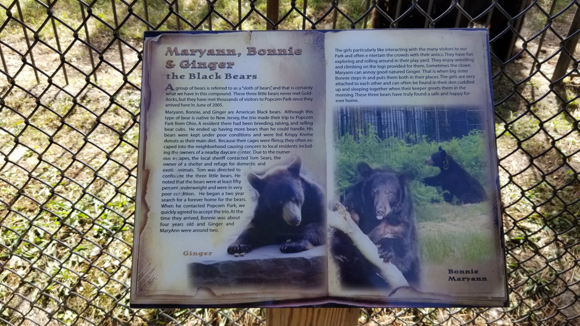 Popcorn Park - NA Black Bear exhibit 1