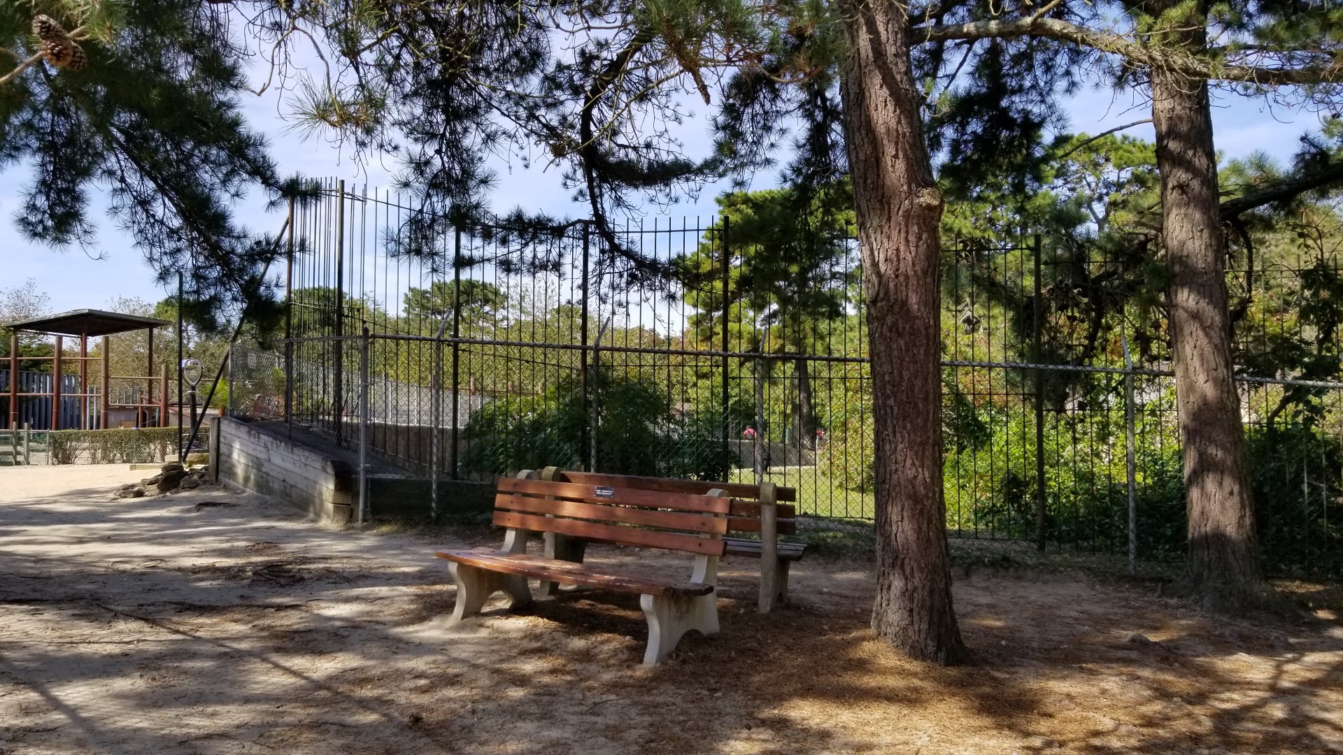 Popcorn Park - NA Black Bear exhibit 2