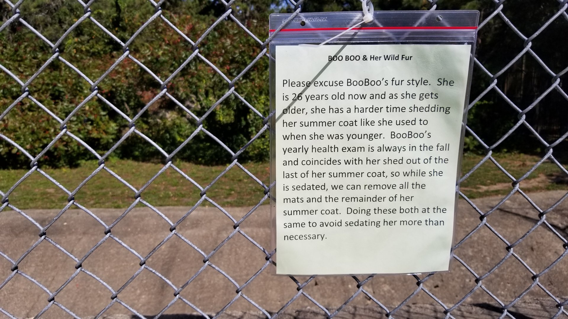 Popcorn Park - NA Black Bear exhibit 2