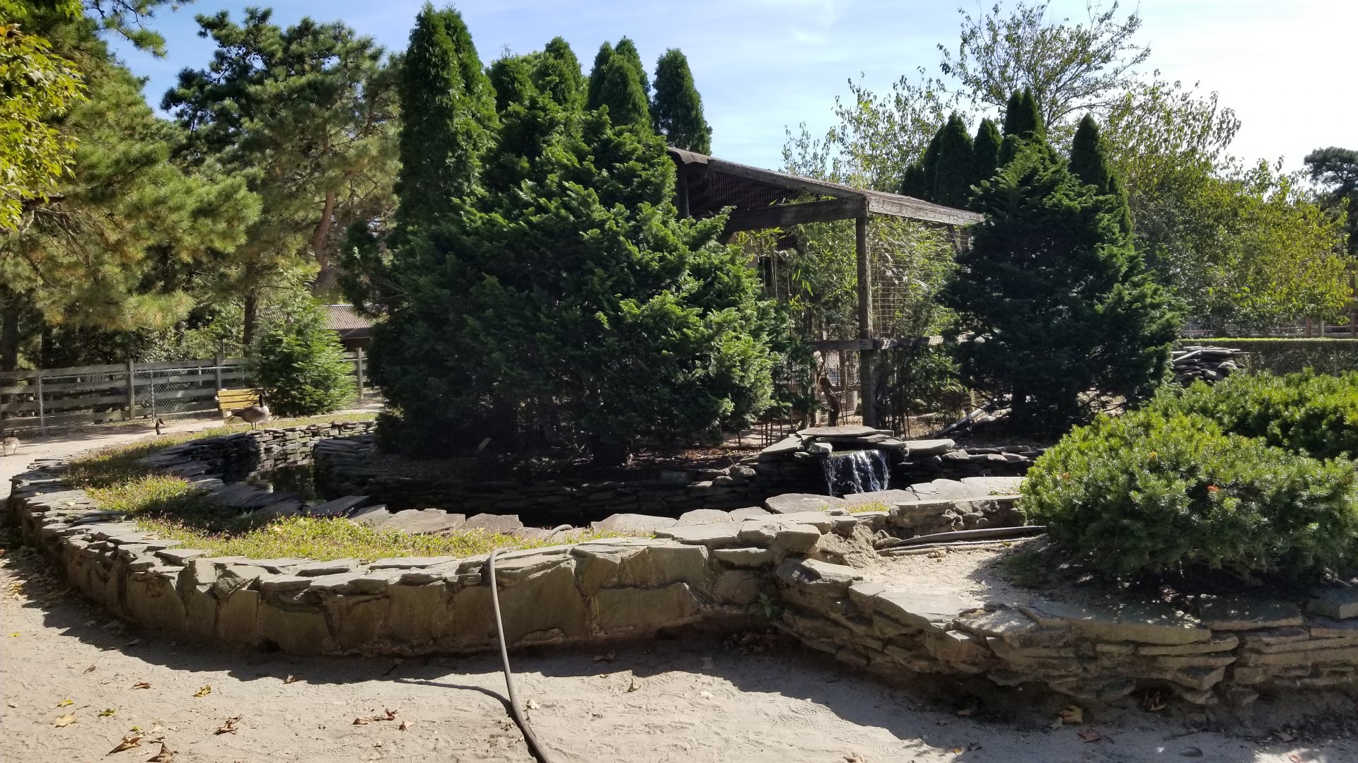 Popcorn Park - No idea