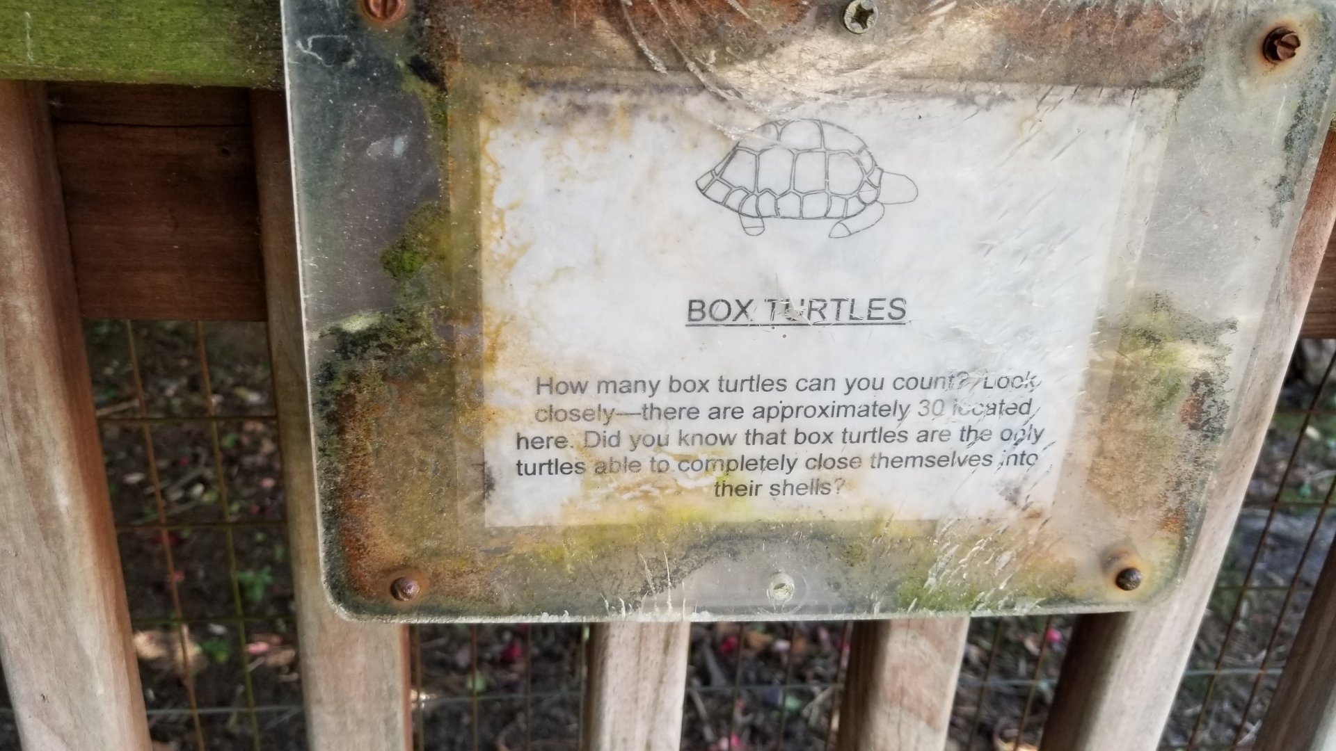 Popcorn Park - One of the few signs anywhere in the zoo