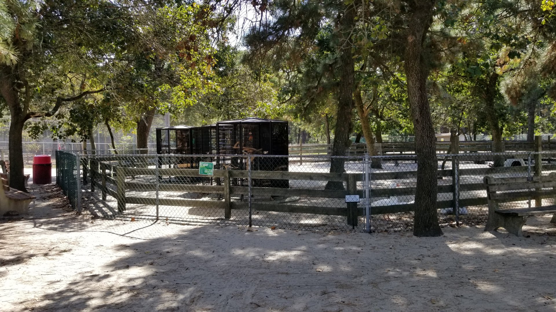 Popcorn Park - Parrots, domestic waterfowl