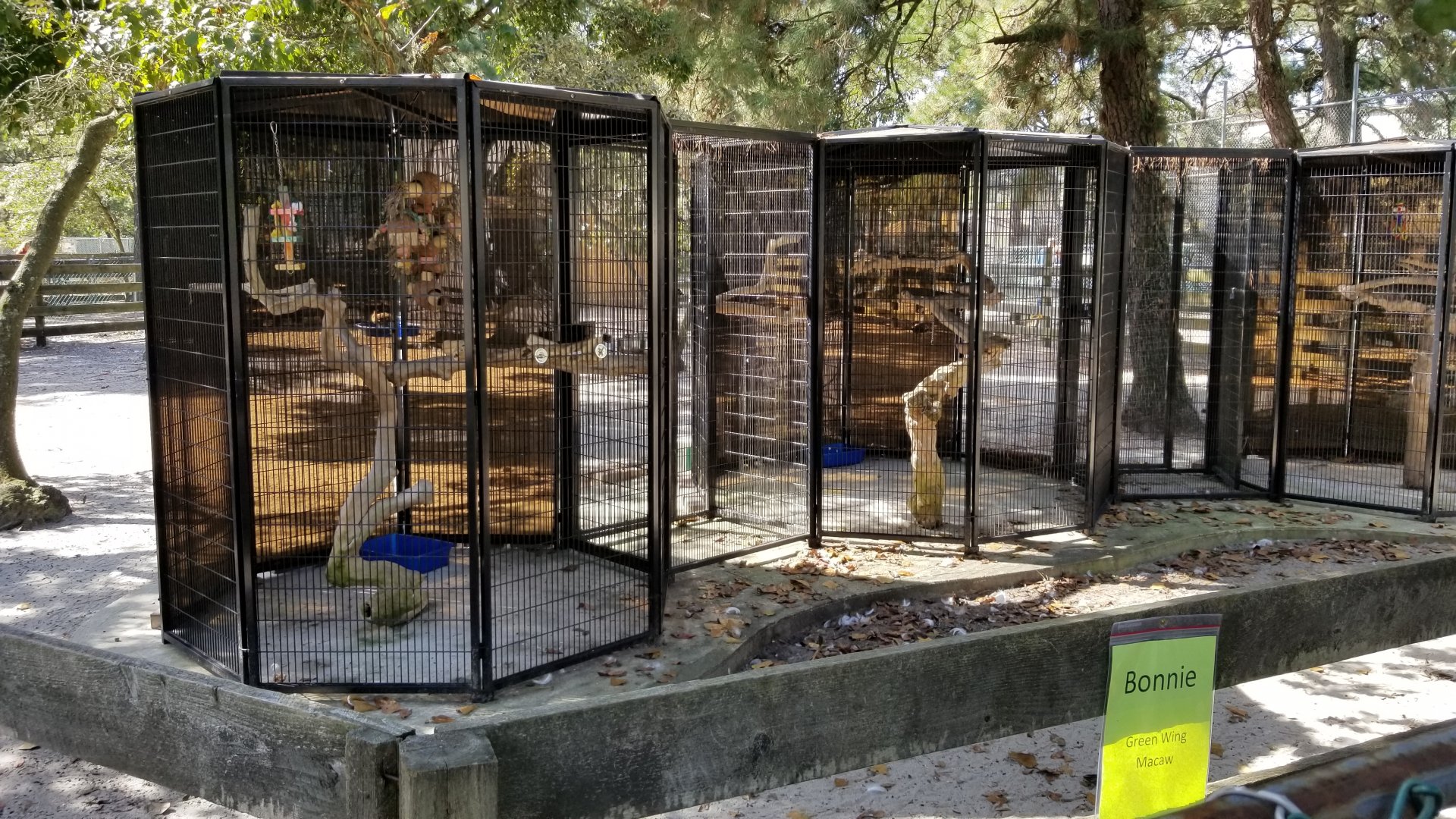 Popcorn Park - Parrots