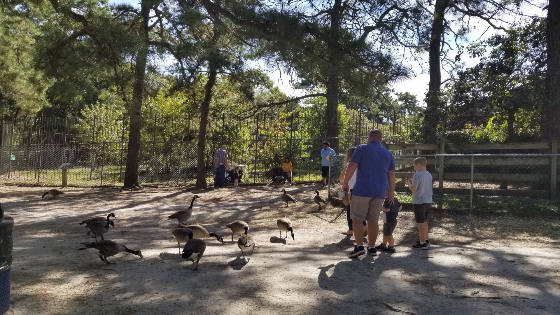 Popcorn Park - People feeding geese and bears