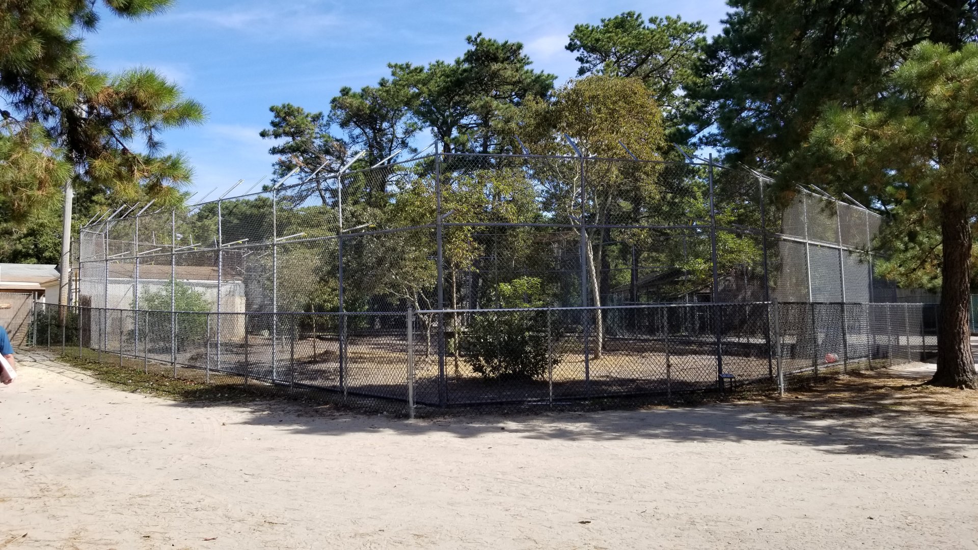 Popcorn Park - Puma? Snow leopard? Didn't see, no sign