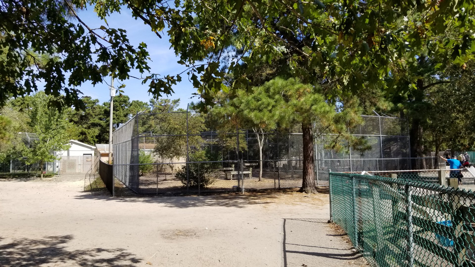 Popcorn Park - Puma? Snow leopard? Didn't see, no sign