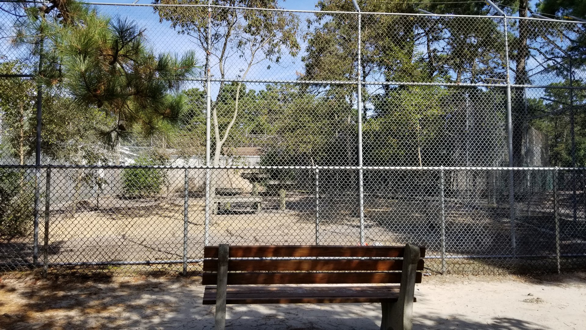 Popcorn Park - Puma? Snow leopard? Didn't see, no sign