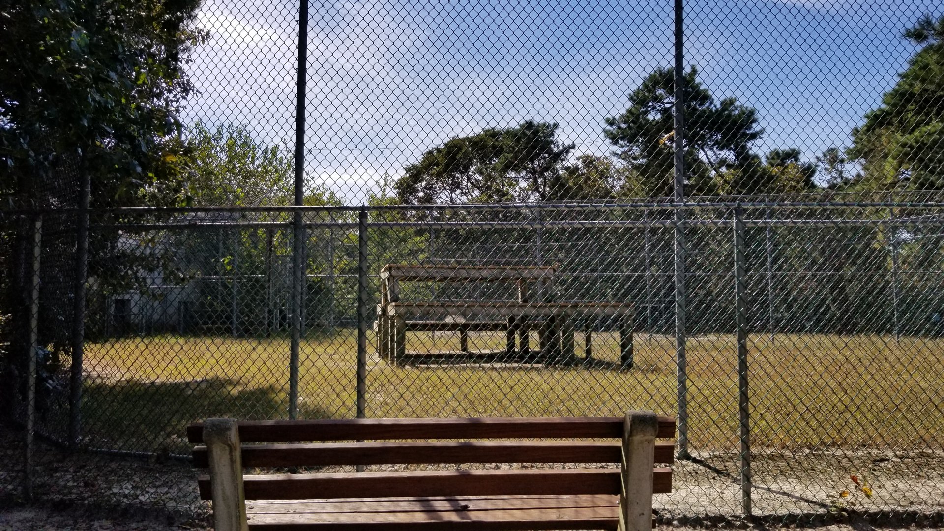 Popcorn Park - Puma? Snow leopard? Didn't see, no signs