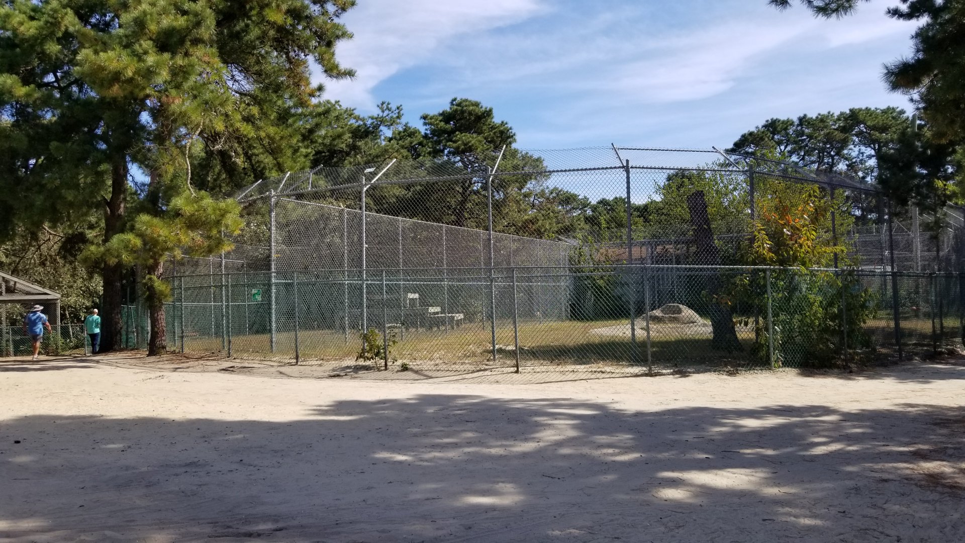 Popcorn Park - Puma? Snow leopard? Didn't see, no signs