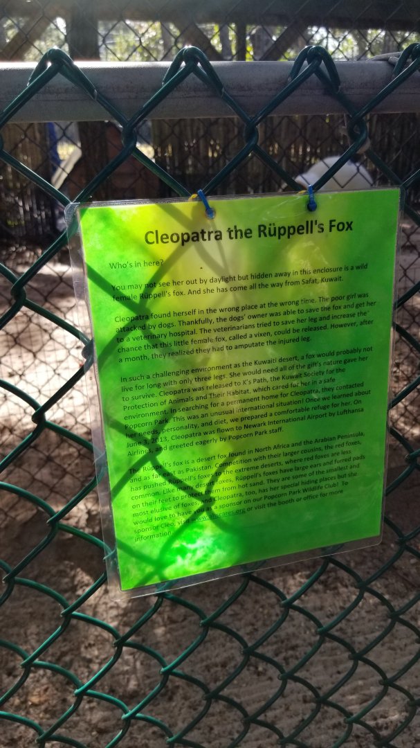 Popcorn Park - "Ruppell's fox" sign, actually an Arabian red fox