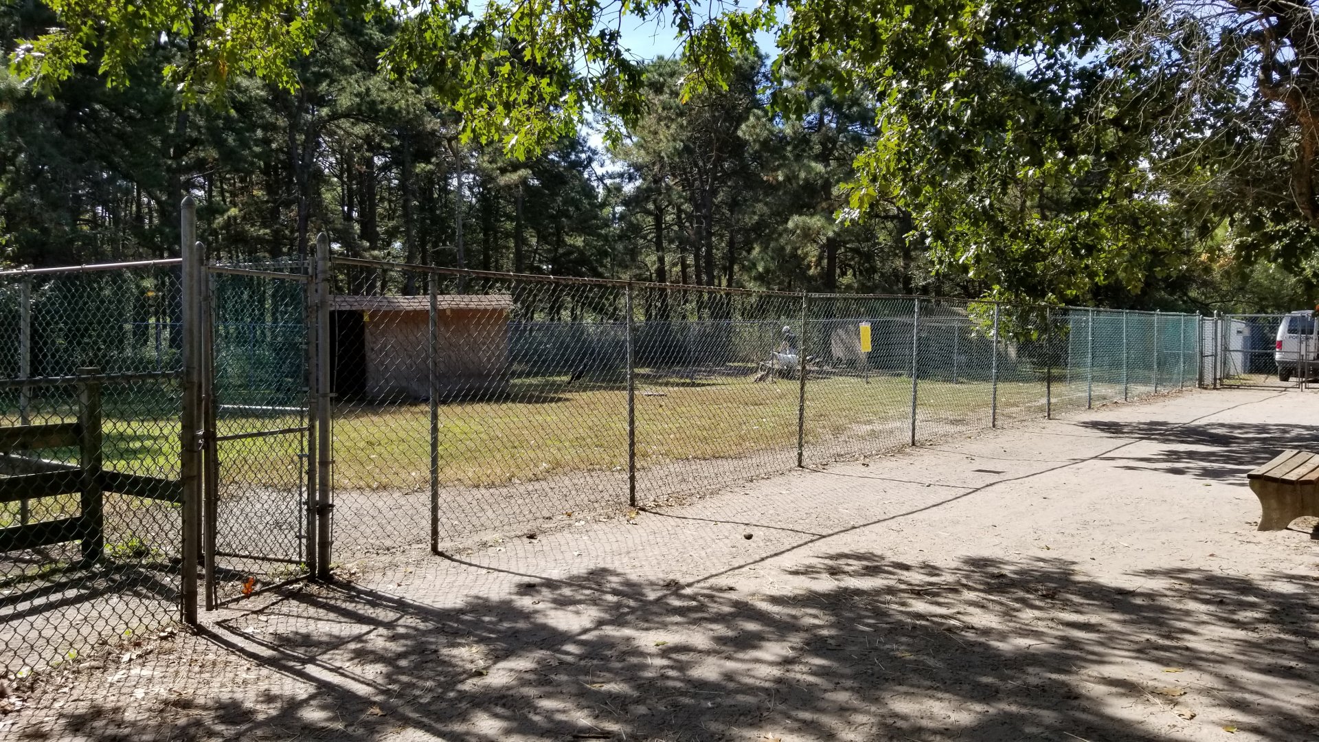 Popcorn Park - Sheep