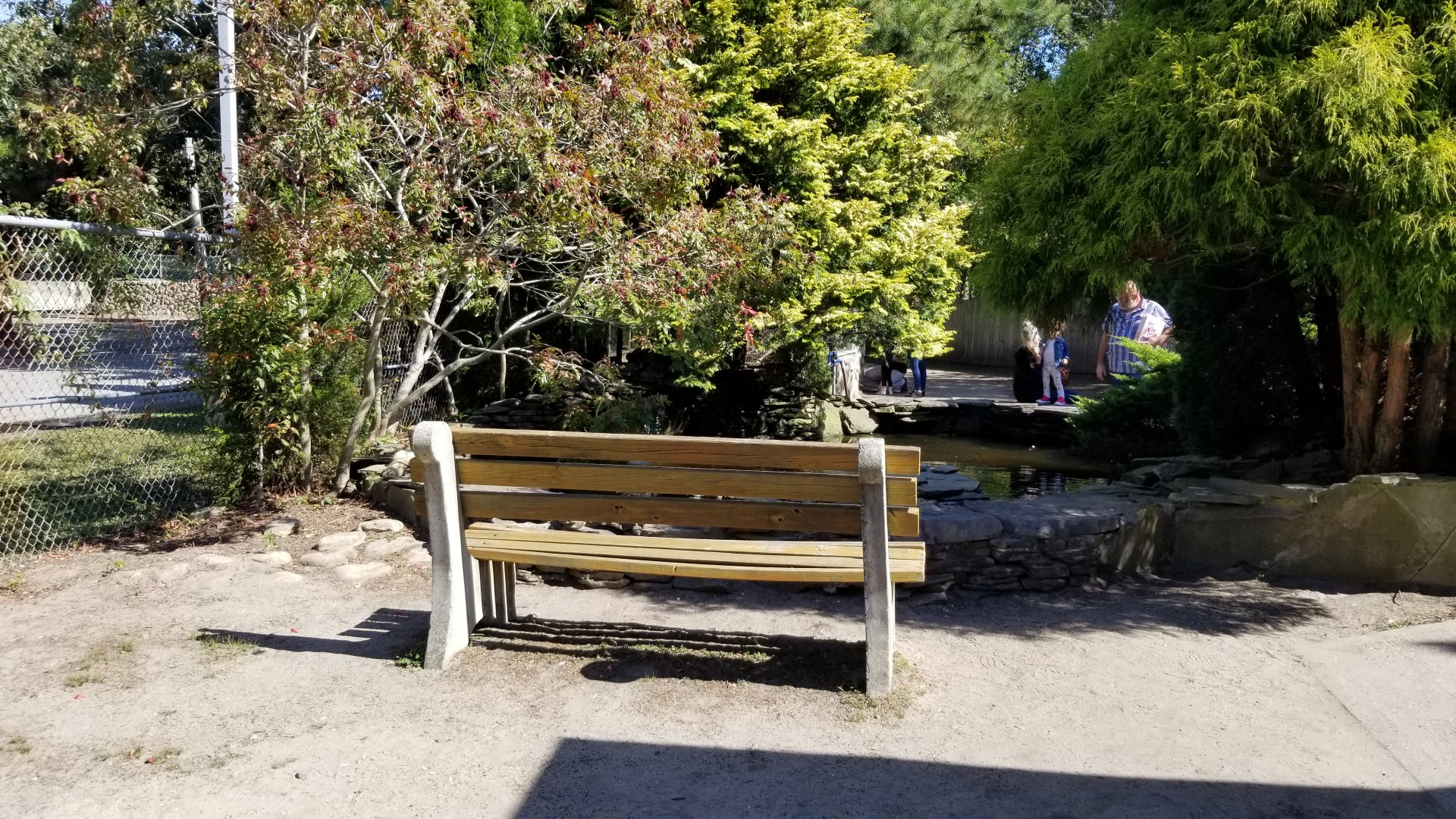 Popcorn Park - Turtle pond