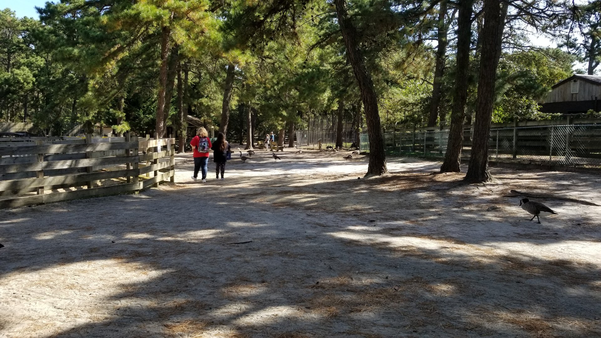 Popcorn Park - Walking area