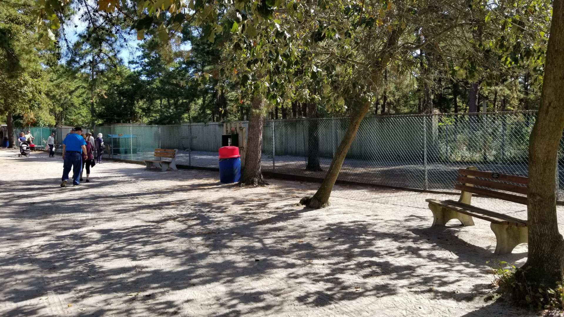 Popcorn Park - Whitetail deer