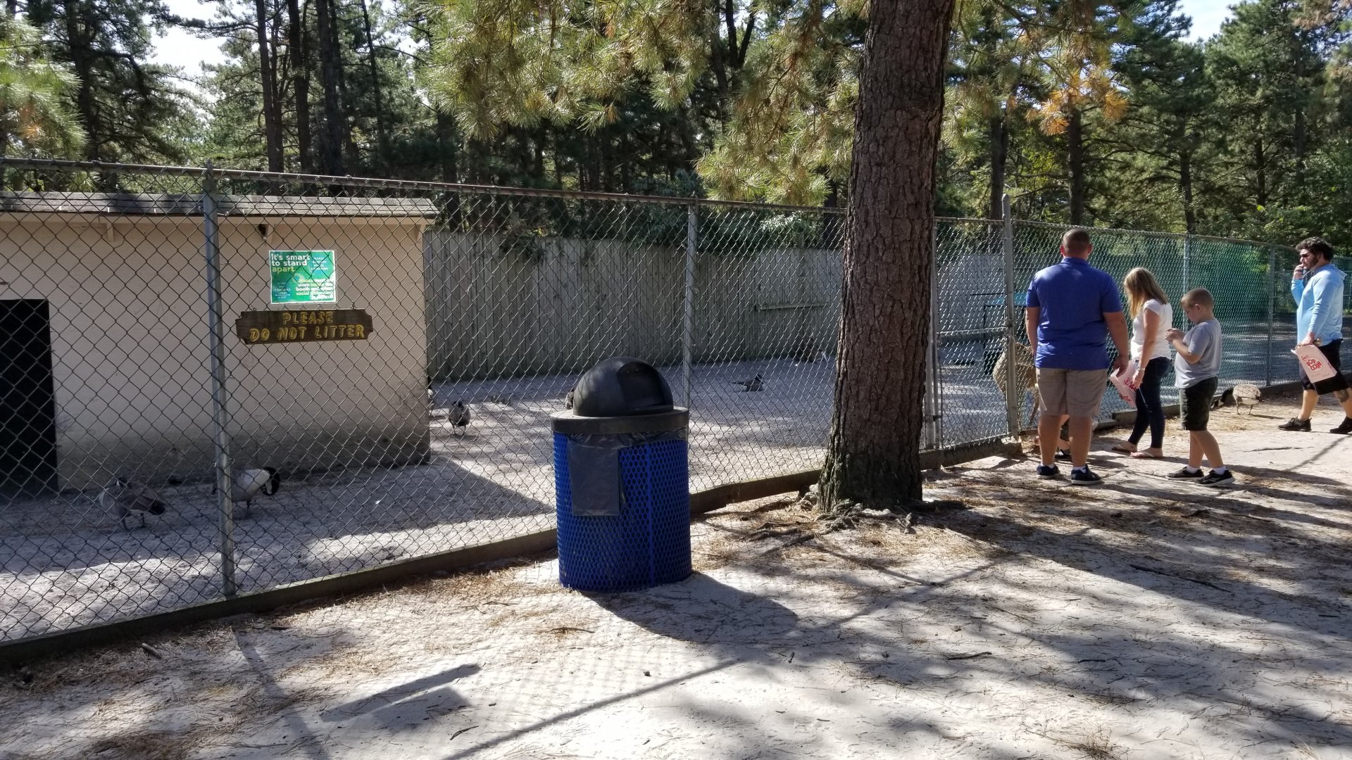 Popcorn Park - Whitetail deer