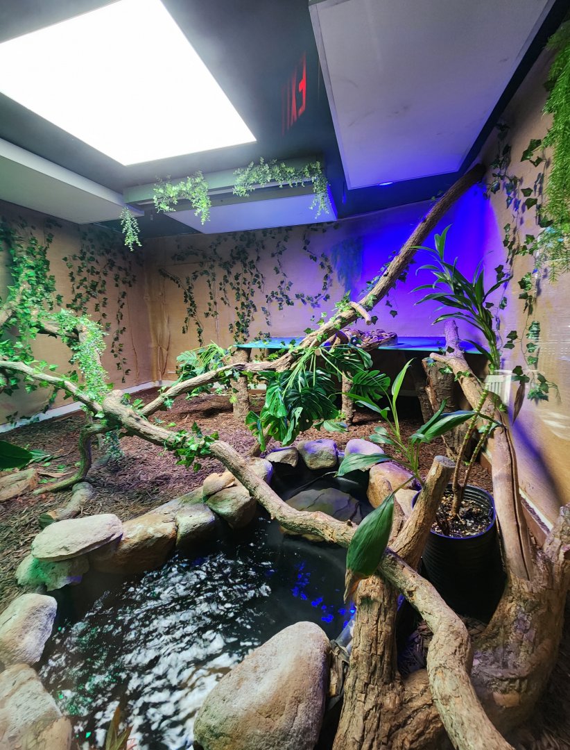 Popcorn Park Zoo - Boa Constrictor enclosure
