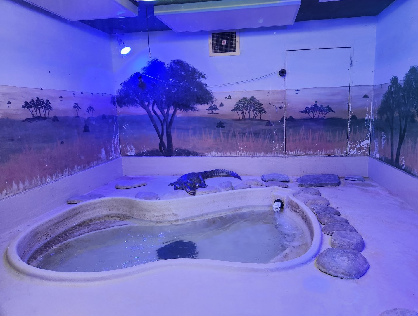 Popcorn Park Zoo - Spectacled Caiman enclosure