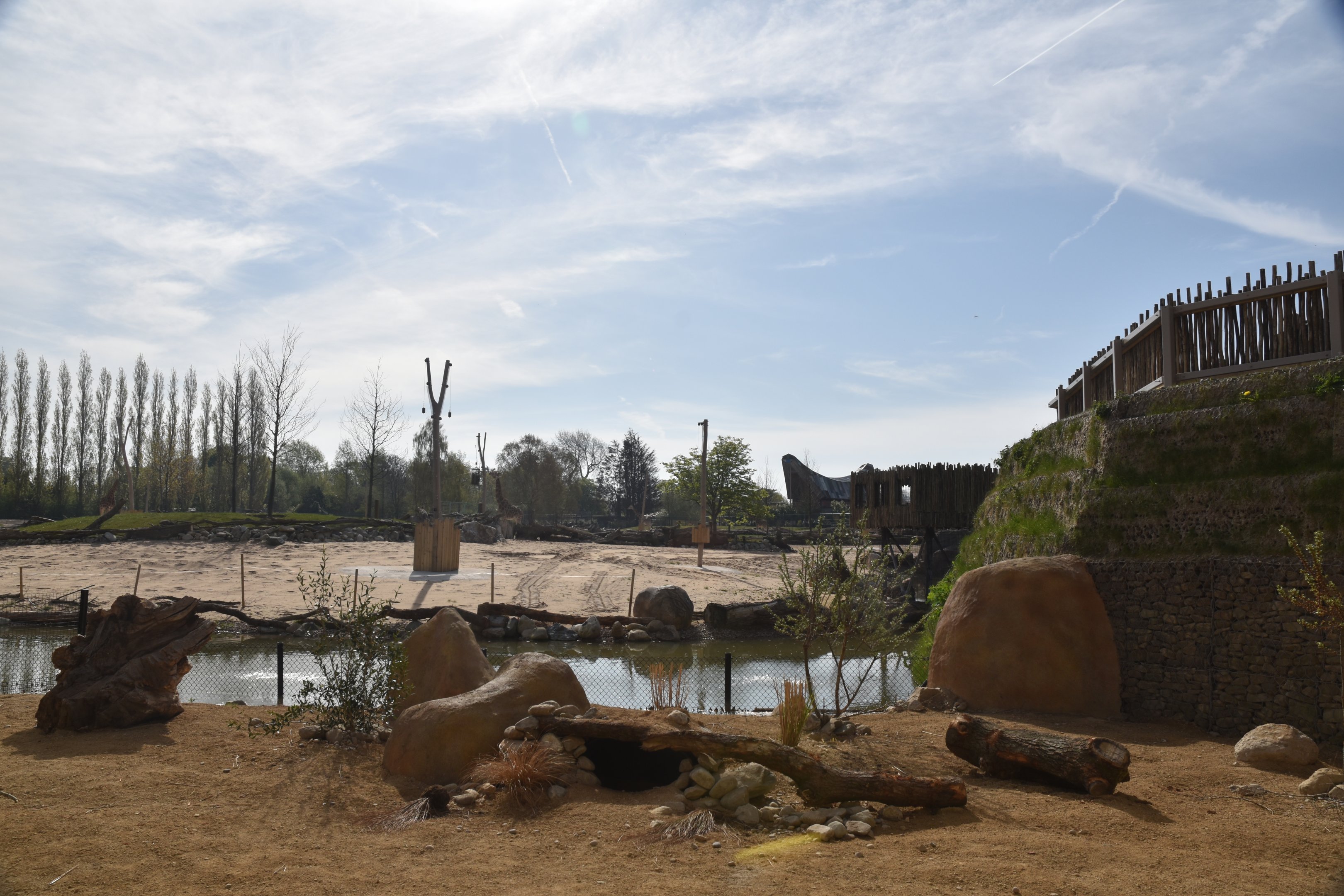 Porcupine and (Future) Fox Viewing on Lower Level, Heart of Africa at Chester, 12th April 2025