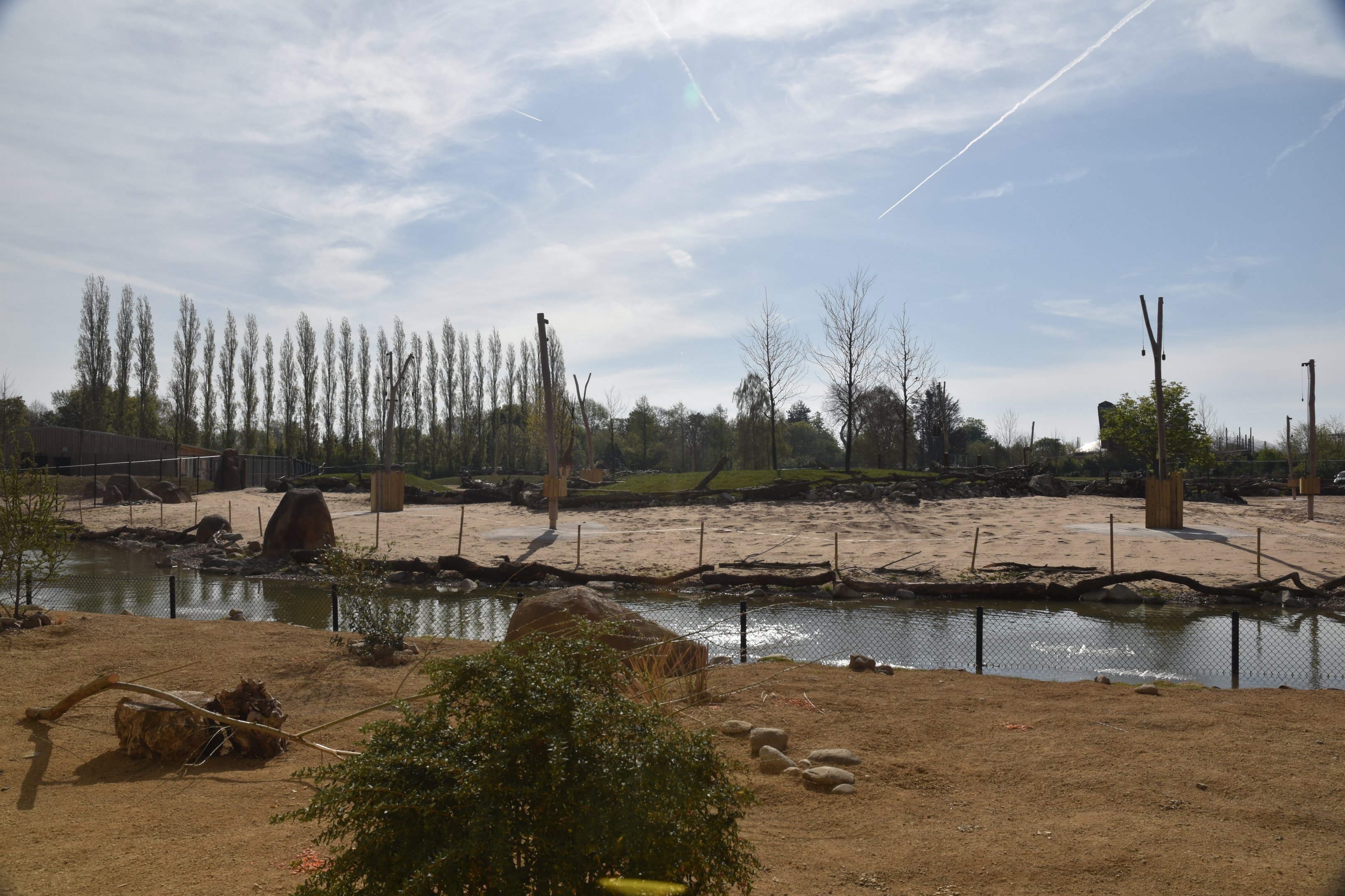 Porcupine and (Future) Fox Viewing on Lower Level, Heart of Africa at Chester, 12th April 2025