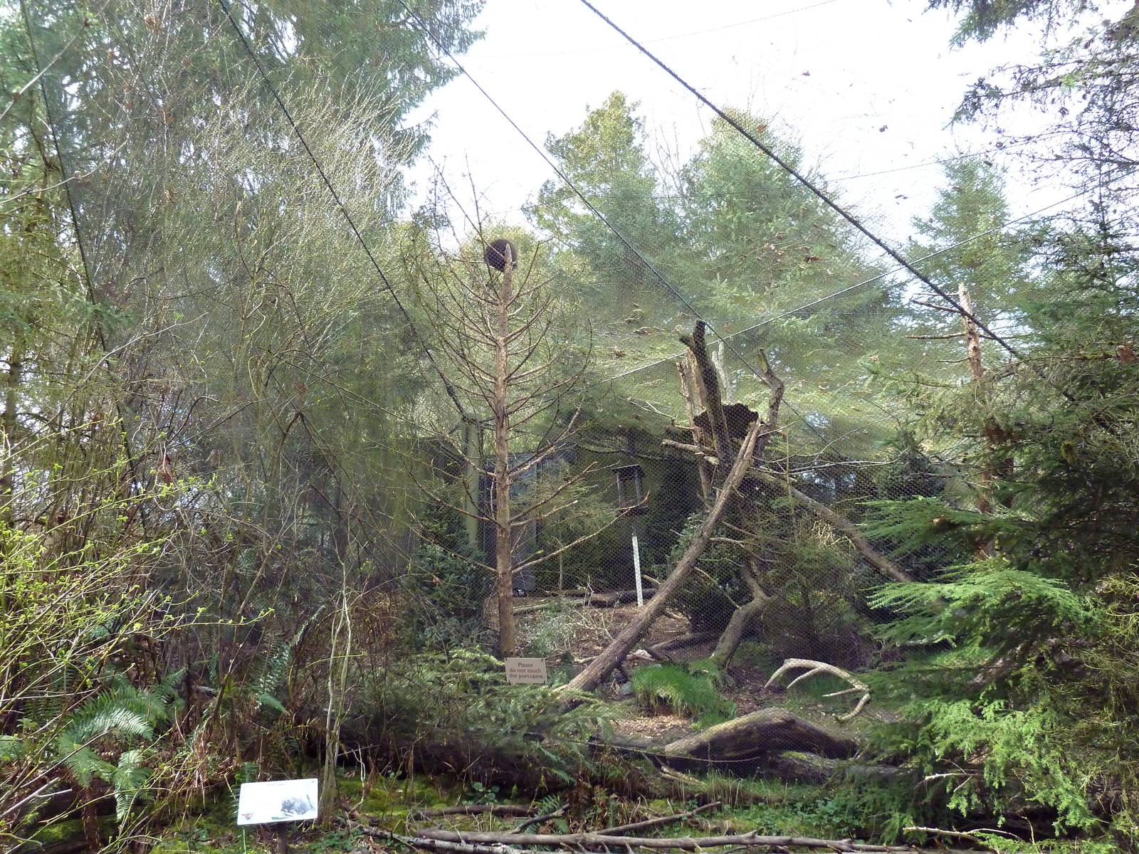 Porcupine/Black-Billed Magpie Exhibit