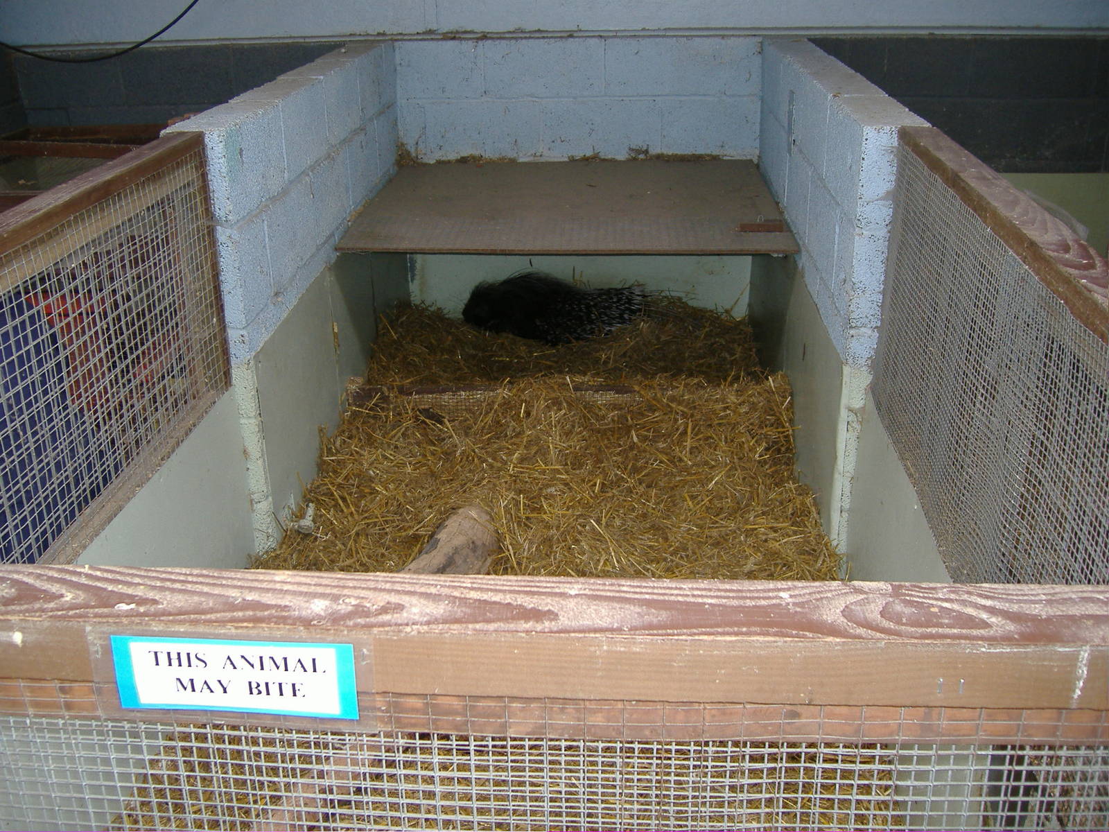 Porcupine cage Animalarium