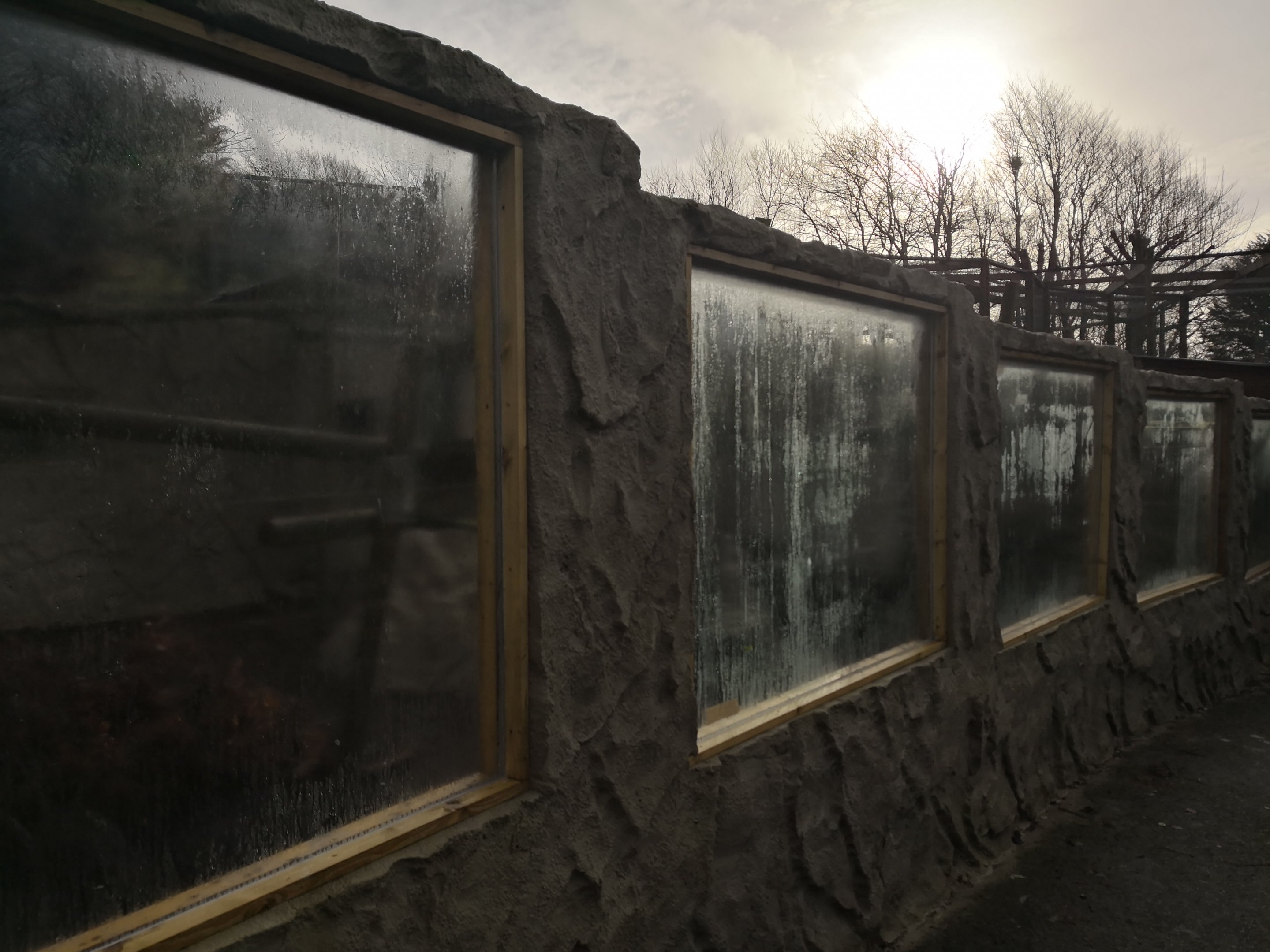 Porcupine Construction