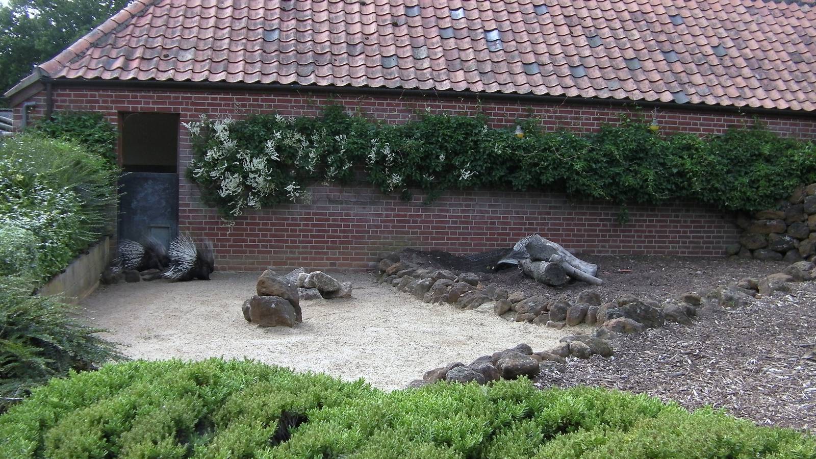 Porcupine Enclosure - 29.07.2011