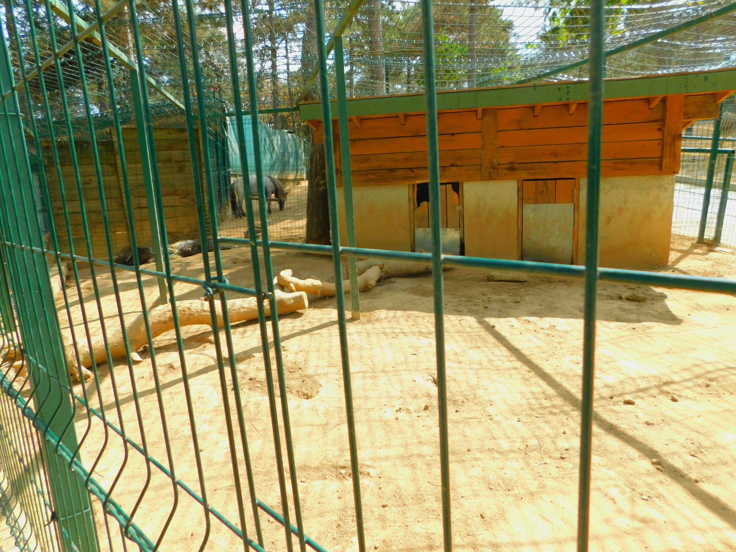 Porcupine Enclosure at Park of Istanbul