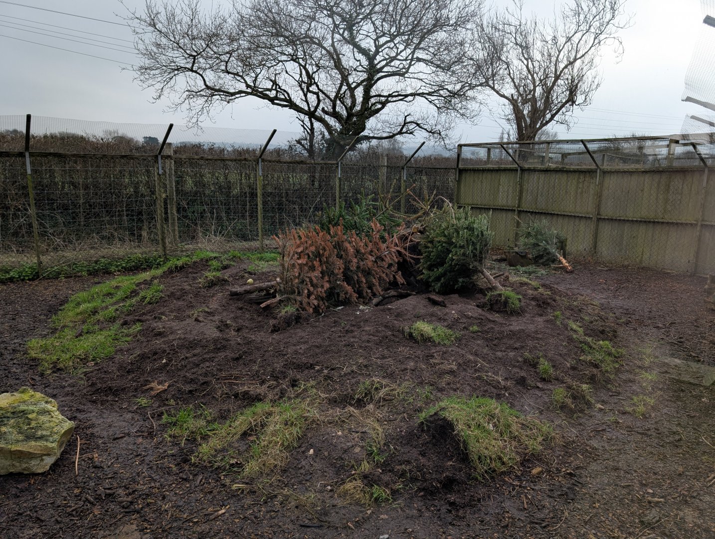Porcupine Enclosure, Axe Valley Wildlife Park
