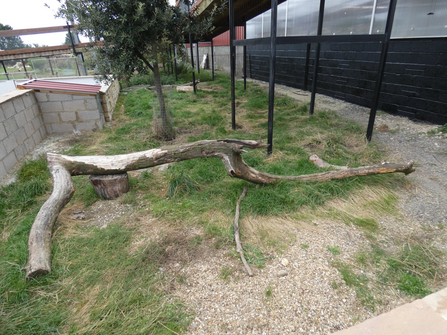 Porcupine enclosure (Johnson's of Old Hurst)