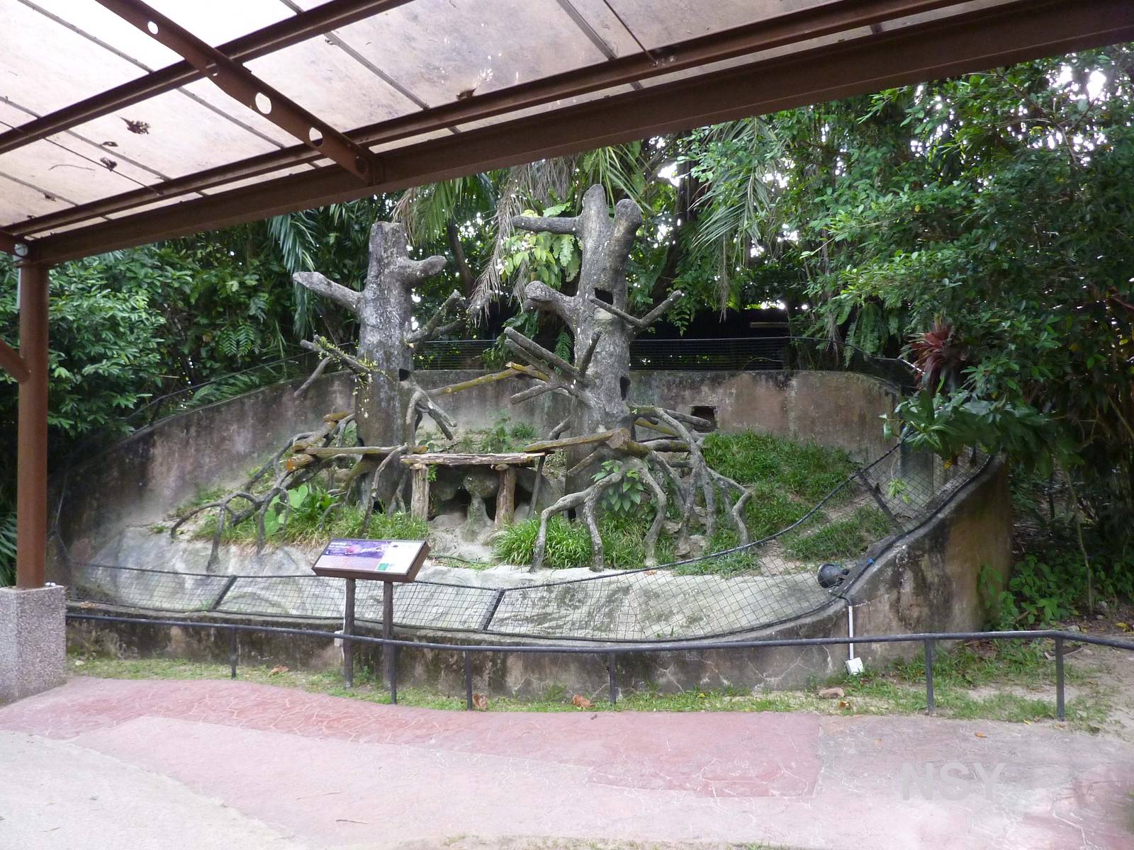 Porcupine enclosure, May 2013