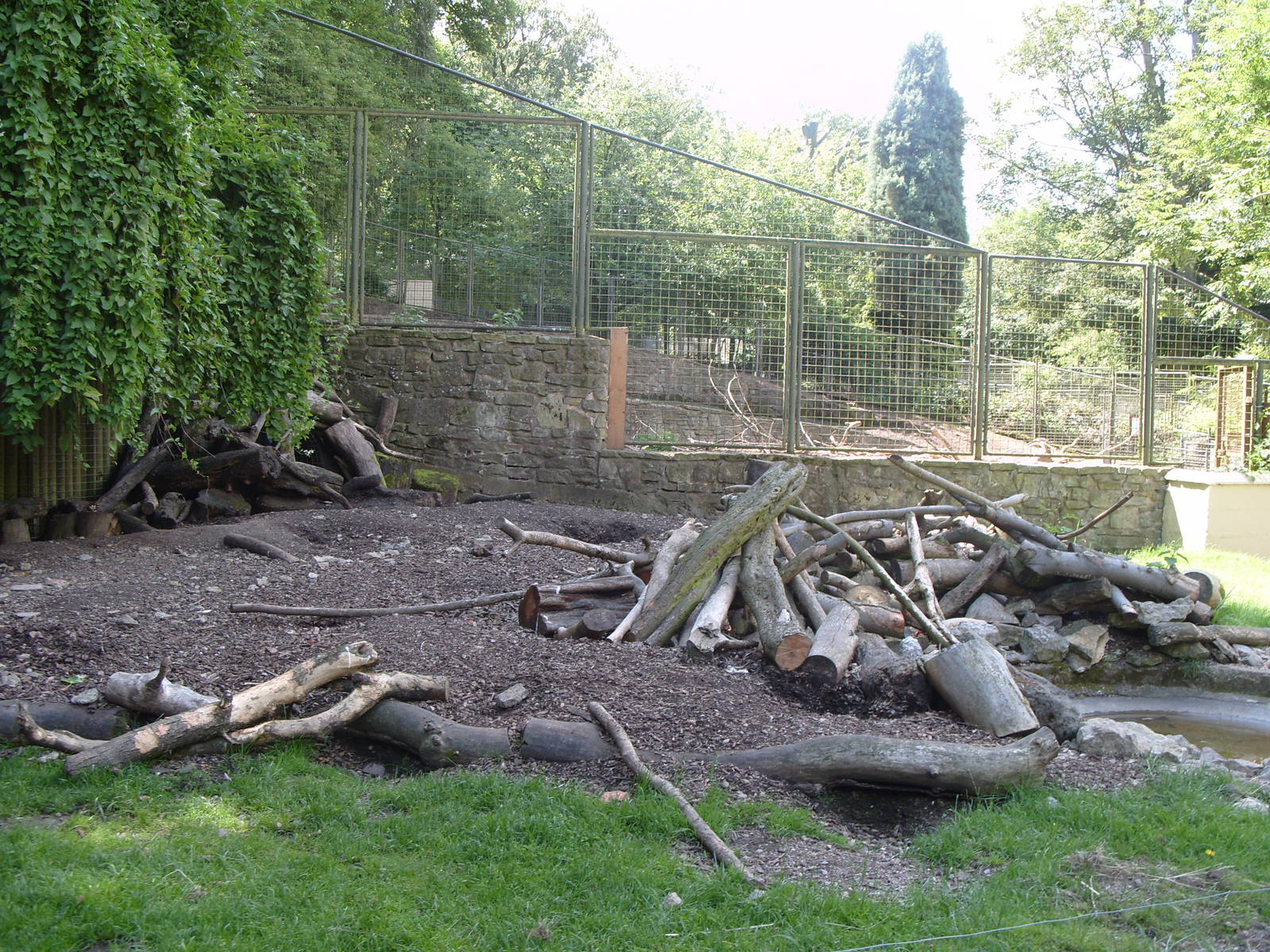 PORCUPINE ENCLOSURE NOT FOR MUCH LONGER
