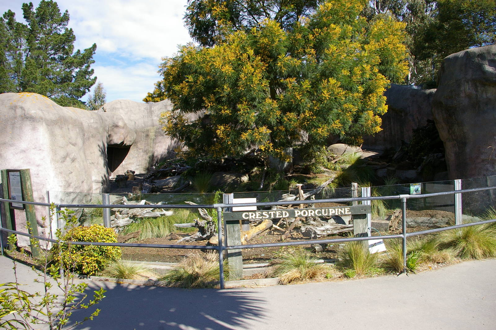 porcupine enclosure, Orana Park
