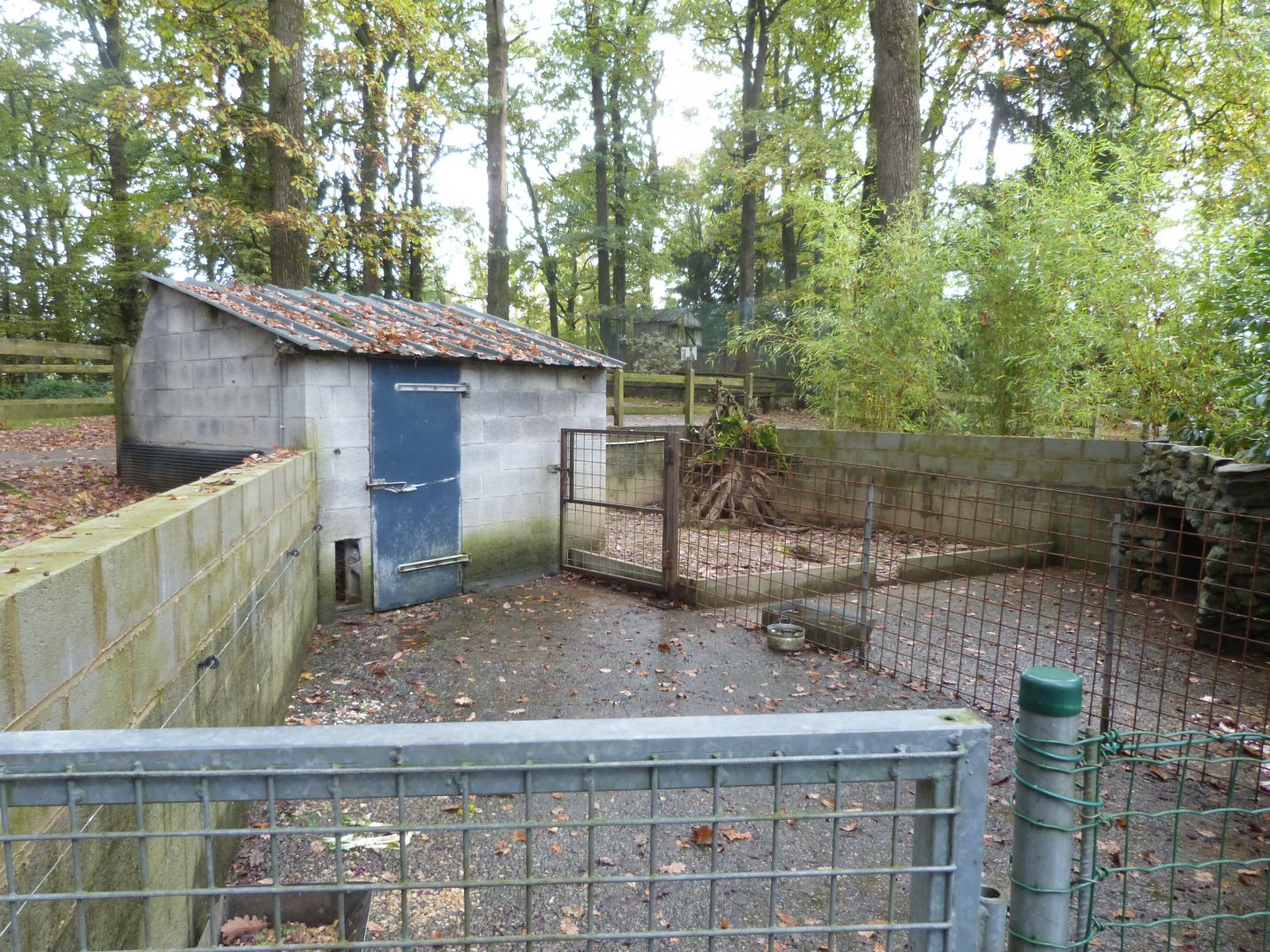 Porcupine enclosure - Parc animalier de Bouillon