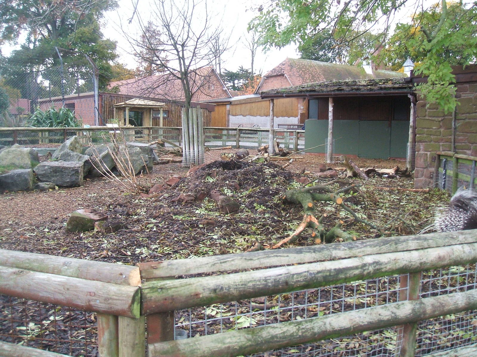 Porcupine Enclosure