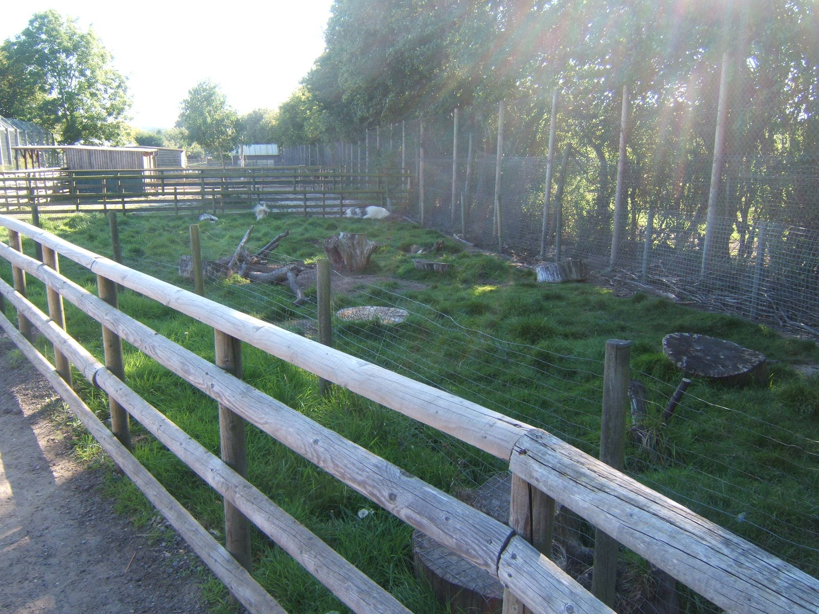 Porcupine enclosure