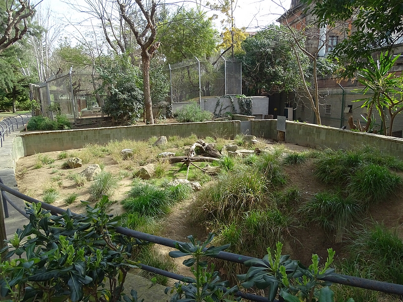 Porcupine enclosure